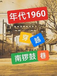 年代1960：穿越南鑼鼓巷，(就是閒的)全文免費閱讀最新章節 - 178小說網