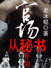 官場從秘書開始(老冰棍)全文免費閱讀最新章節 - 178小說網